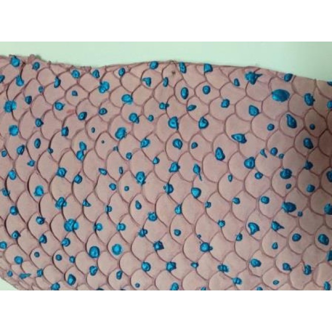 Шкіра риби натуральна Луска круп різнобарв'я